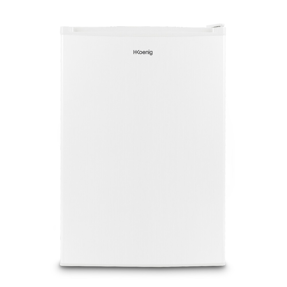 Mini nevera eléctrica independiente 113 litros color blanco H.Koenig FGX880 